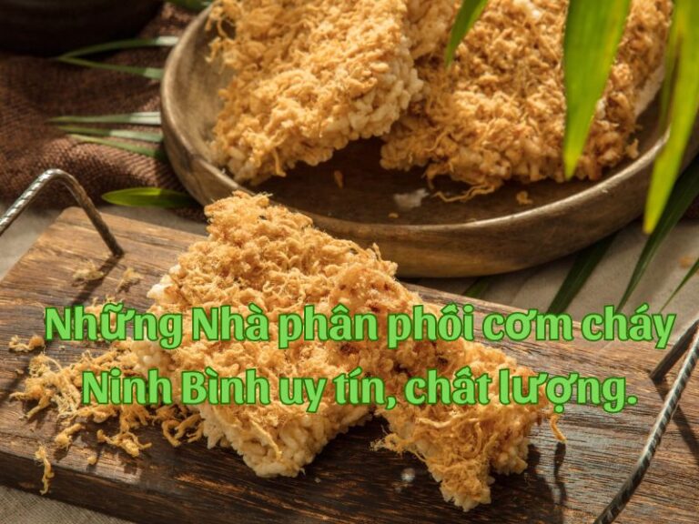 npp-thuan-phong-nhung-nha-phan-phoi-com-chay-nb