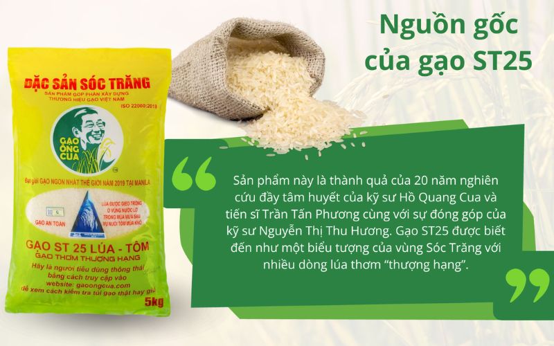 Mua gạo ST25 tại NPP Thuận Phong - Chất lượng đảm bảo, giá tốt