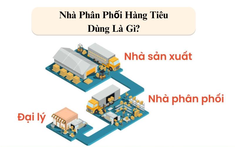 nhà phân phối hàng tiêu dùng là gì ?