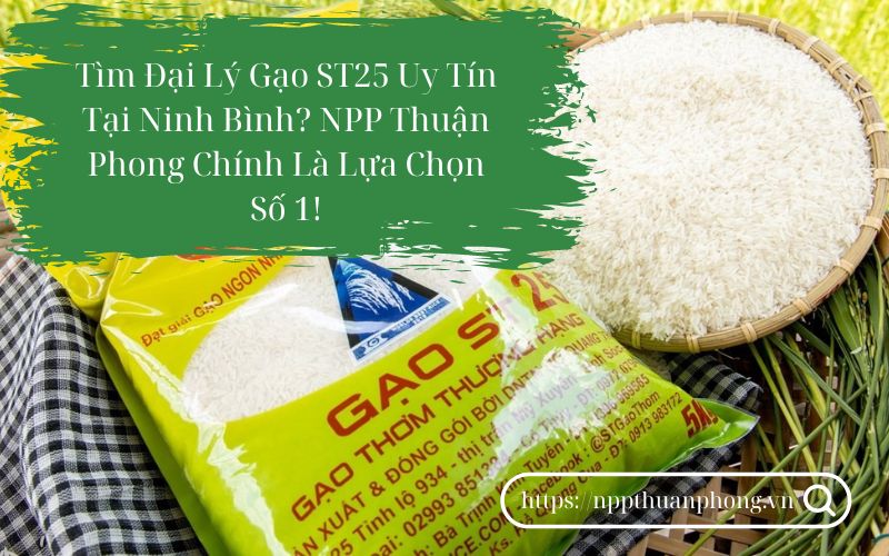 NPP Thuận Phong - Đại lý gạo ST25 uy tín tại Ninh Bình