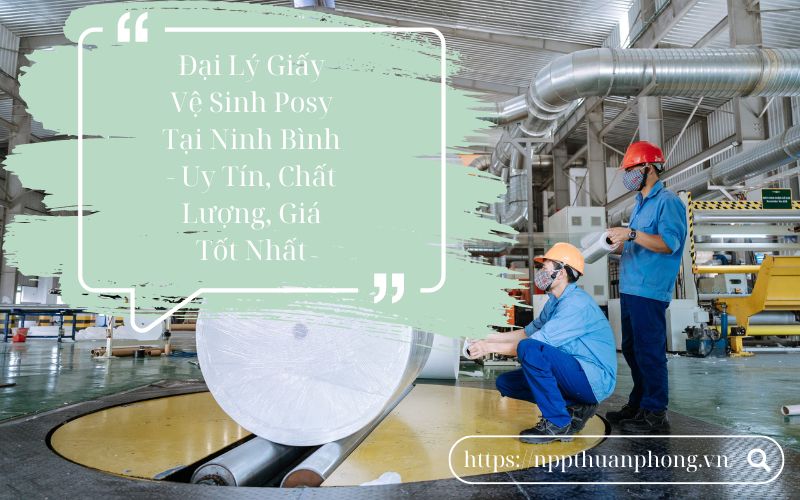 NPP Thuận Phong - Đại lý giấy vệ sinh Posy uy tín tại Ninh Bình