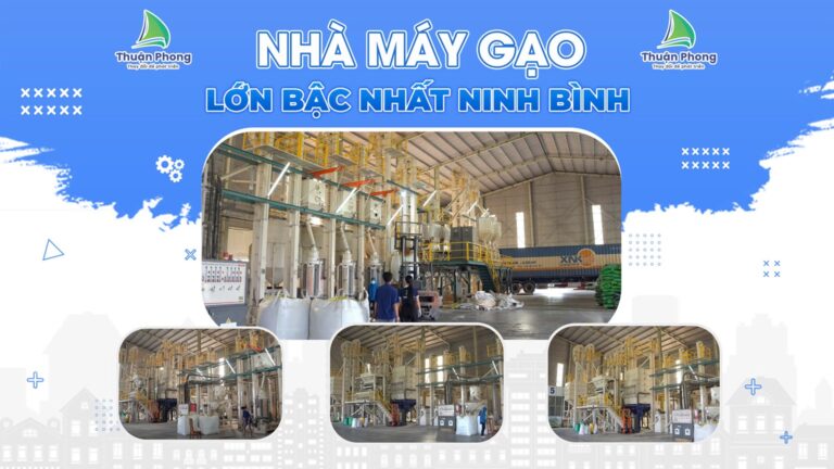 npp-thuan-phong-nha-may-gao-tai-thuan-phong-uy-tin-chat-luong-bac-nhat-ninh-binh
