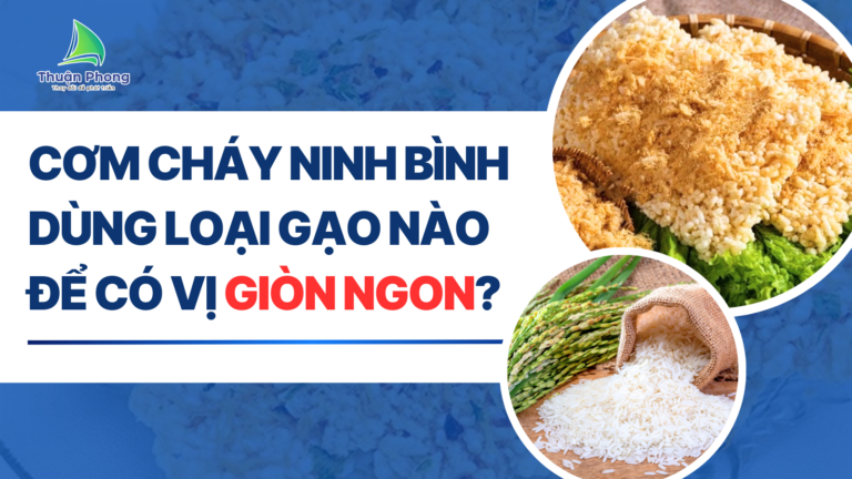 npp-thuan-phong-3 (4)