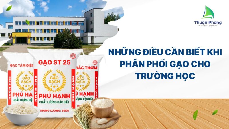 npp thuan phong 5 2