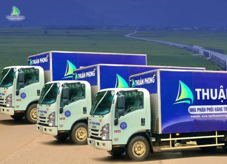 npp thuan phong he thong van tai